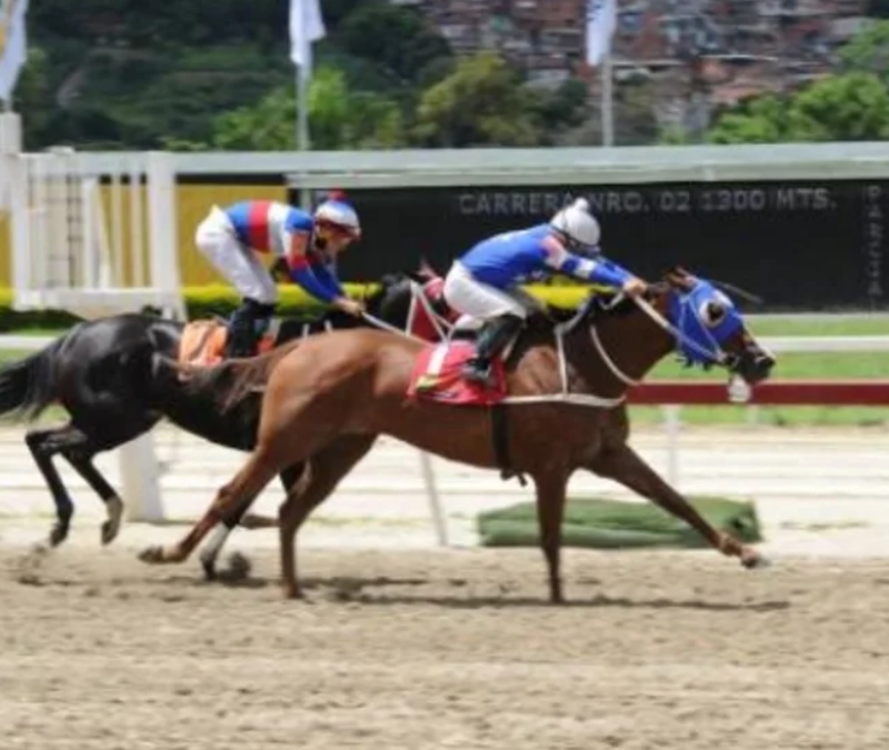 Perfil de «El Gran Vencedor» – Un Caballo Prometedor